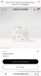 LOUIS VUITTON 2024 - LIMITED EDITION - Capucines Mini Ski Snowflake Satchel Bag