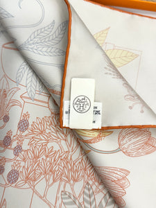 HERMES Precious Paradise scarf 90 in Argent / Rose / Aqua